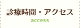 診療時間・アクセス